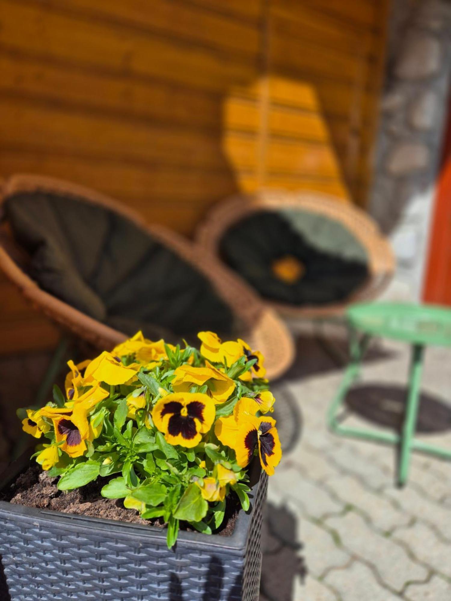 U Parow Sauna & Jacuzzi Bialka Tatrzanska Exteriör bild